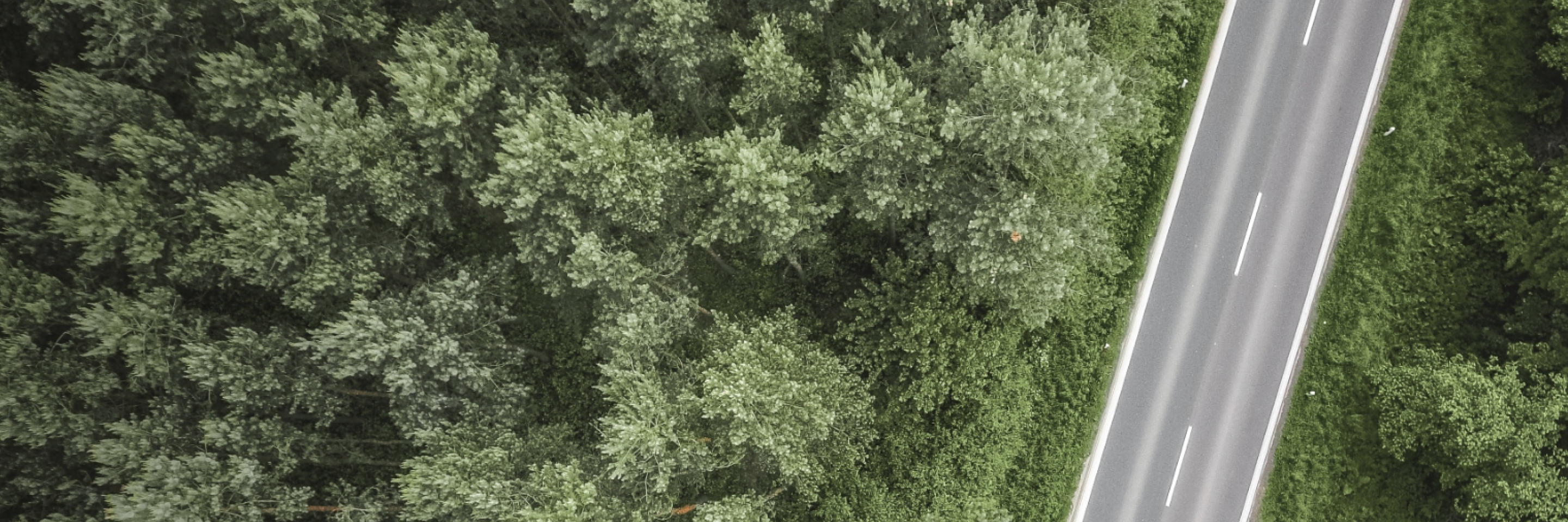 voiture electrique au maroc suv electrique